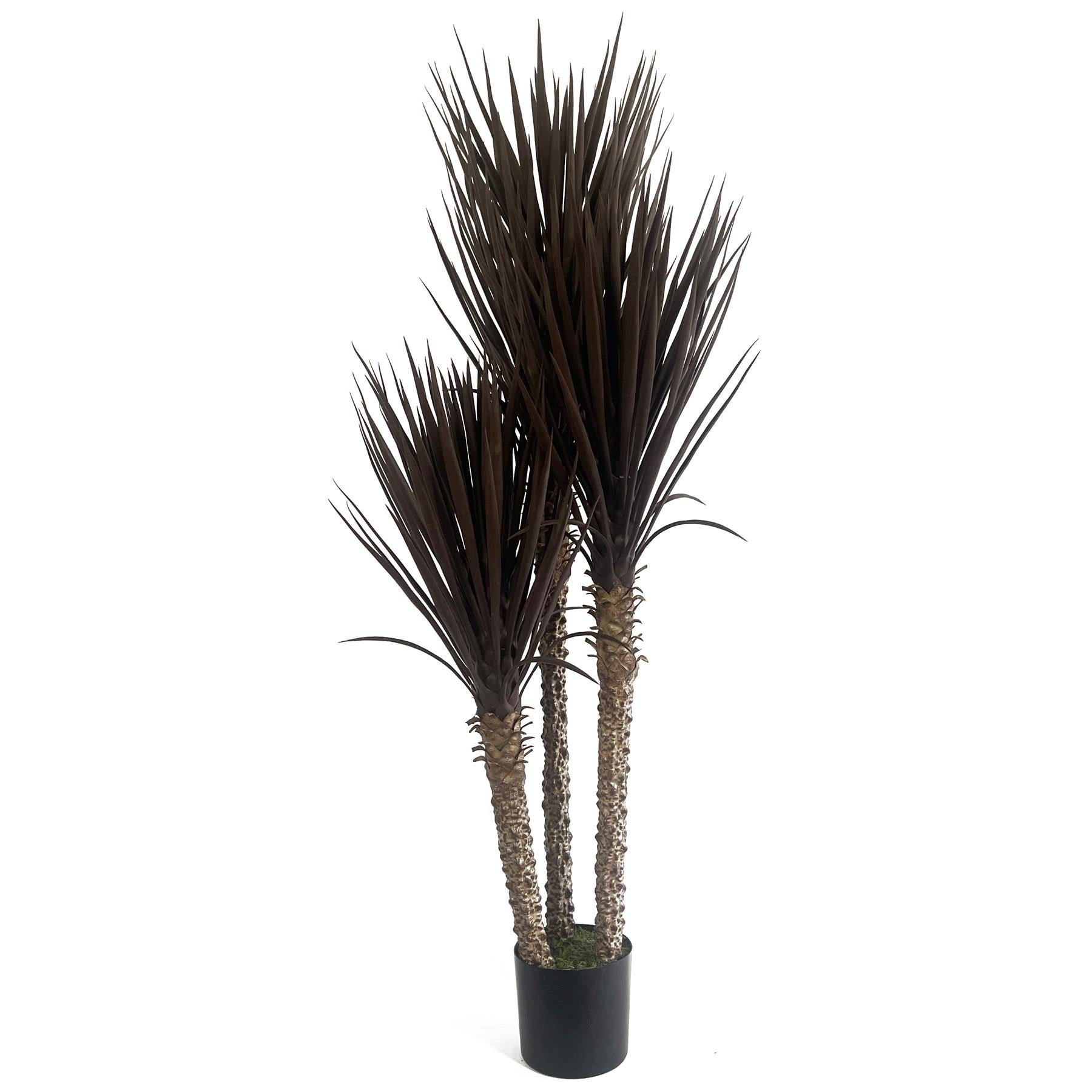 Künstlicher Baum Yucca Tropisch 155cm Hoch XXL Dunkle Yucca