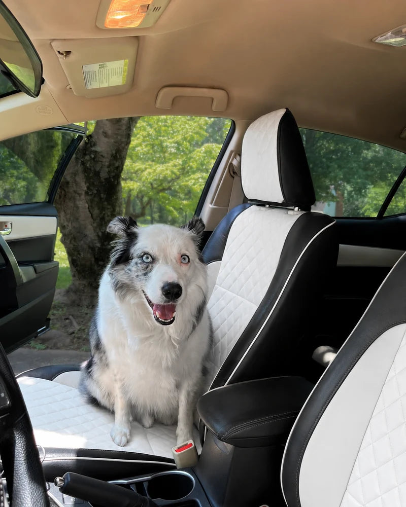 High-end car seat cushions Custom Fit for Cars, SUVs & Trucks