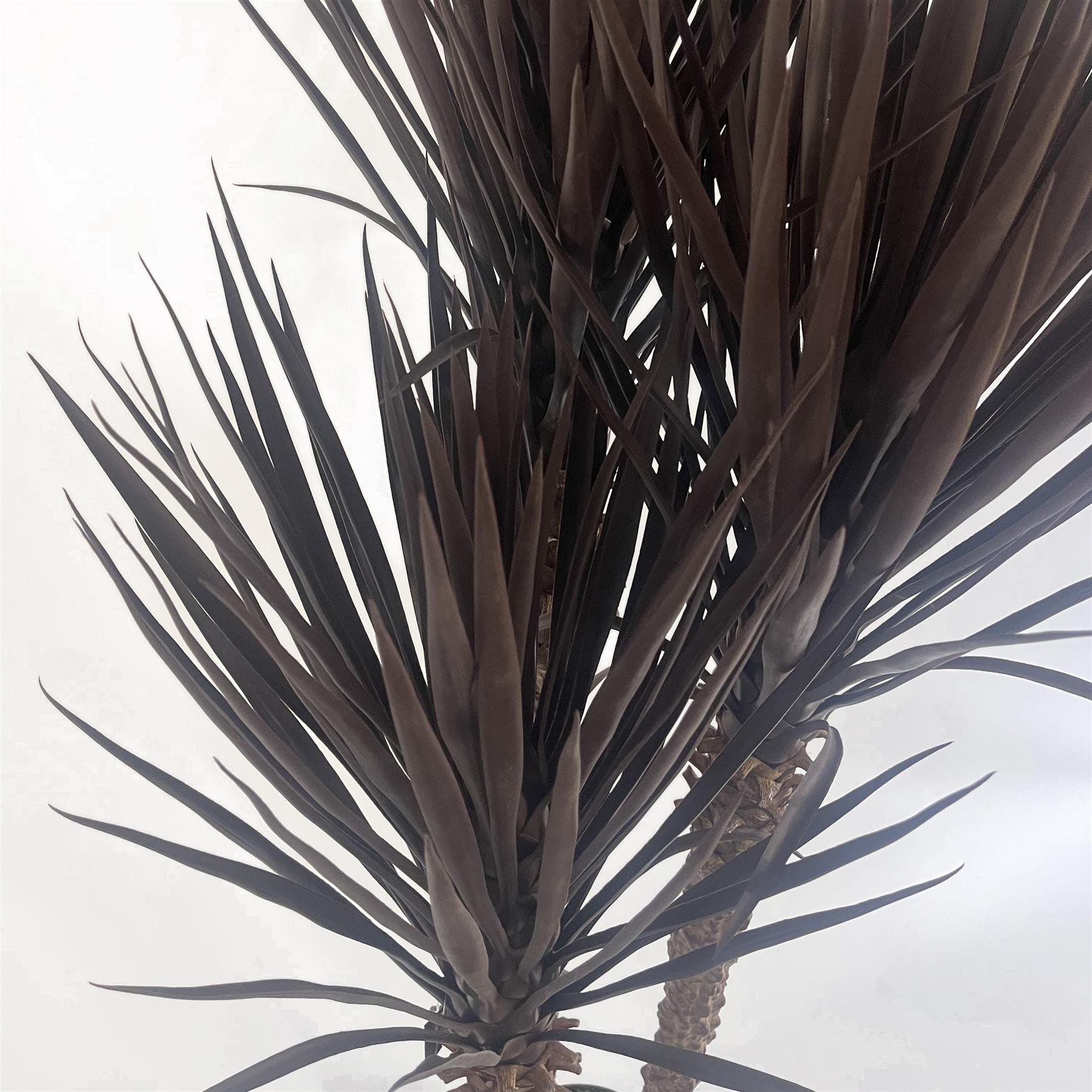 Künstlicher Baum Yucca Tropisch 155cm Hoch XXL Dunkle Yucca